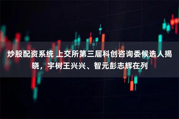 炒股配资系统 上交所第三届科创咨询委候选人揭晓，宇树王兴兴、智元彭志辉在列